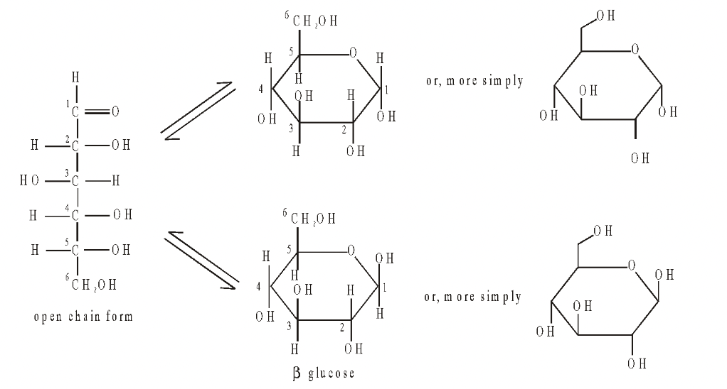 Sugar Part in Carbohydrates